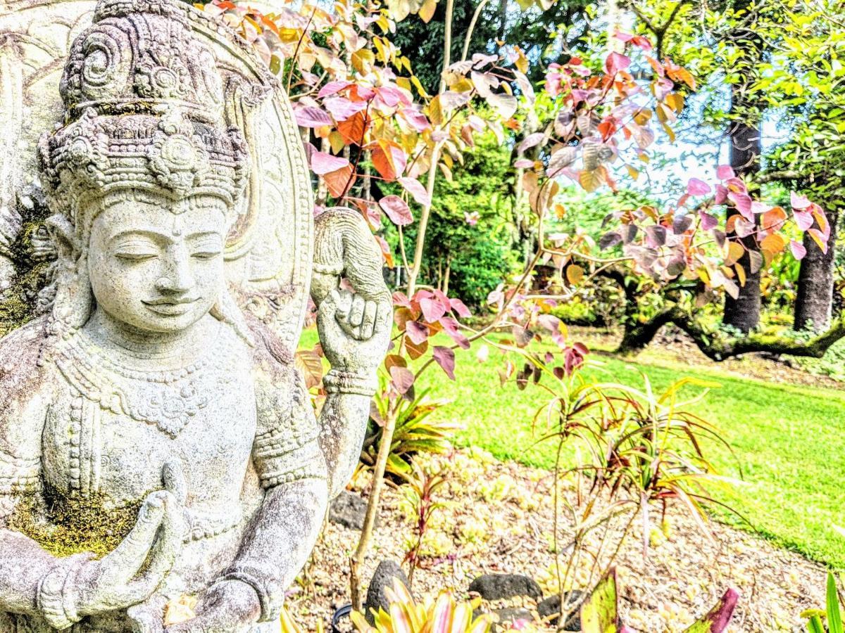 PahoaKehena Mauka Nui Club Lgbtqia+ Clothing Optional住宿加早餐旅馆 外观 照片