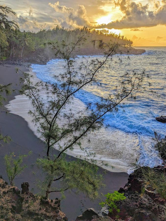 PahoaKehena Mauka Nui Club Lgbtqia+ Clothing Optional住宿加早餐旅馆 外观 照片