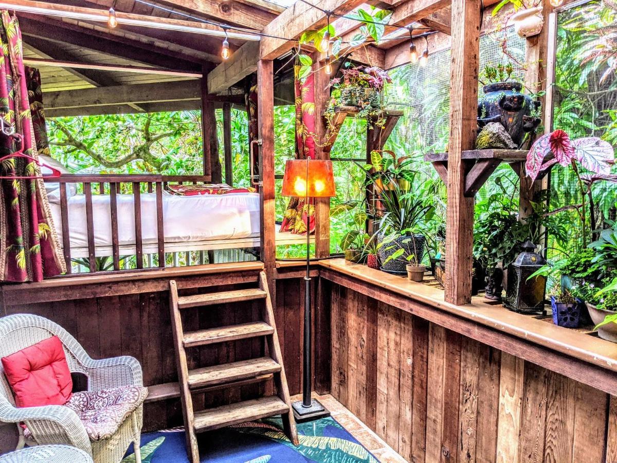PahoaKehena Mauka Nui Club Lgbtqia+ Clothing Optional住宿加早餐旅馆 客房 照片