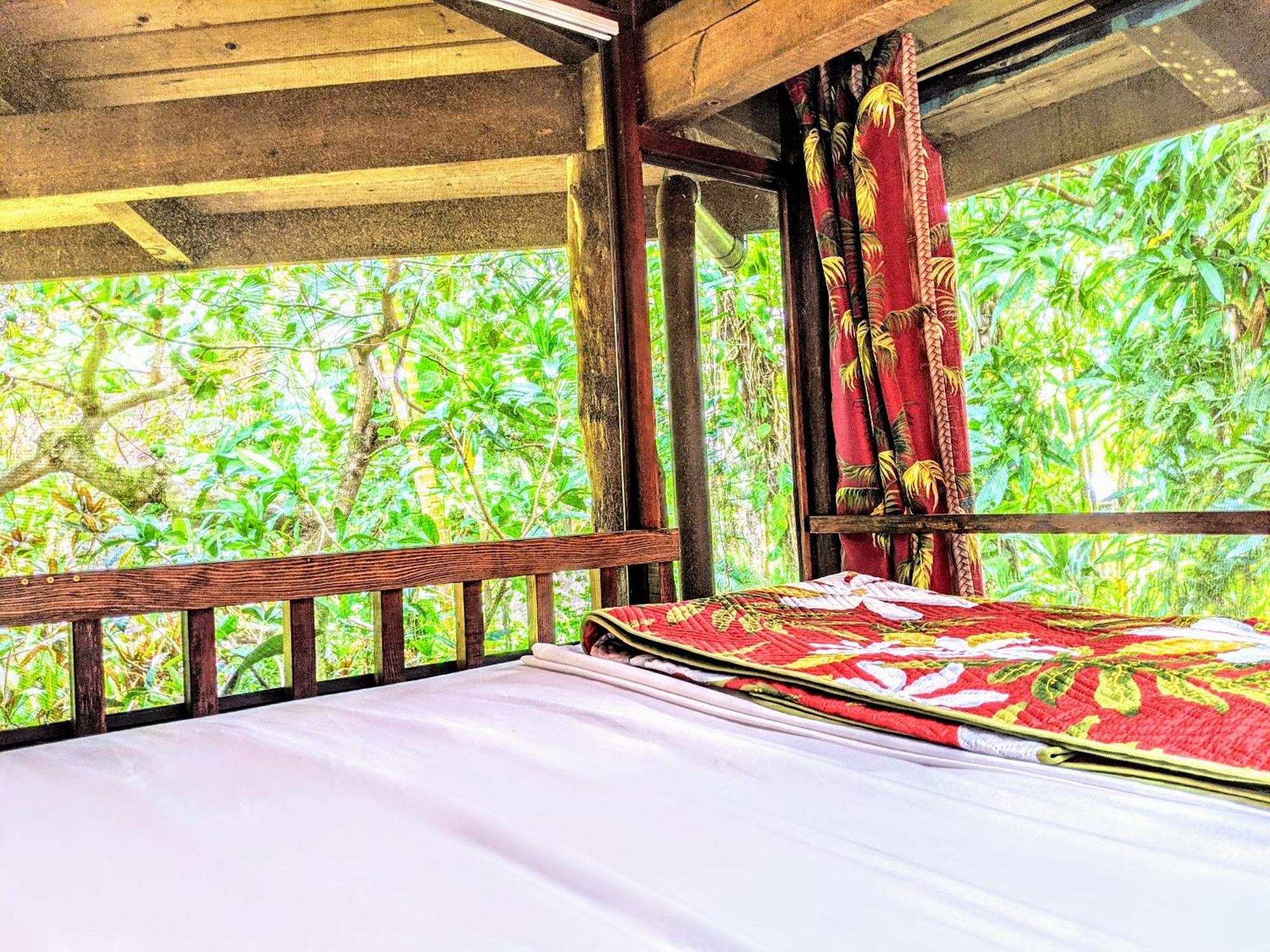 PahoaKehena Mauka Nui Club Lgbtqia+ Clothing Optional住宿加早餐旅馆 客房 照片